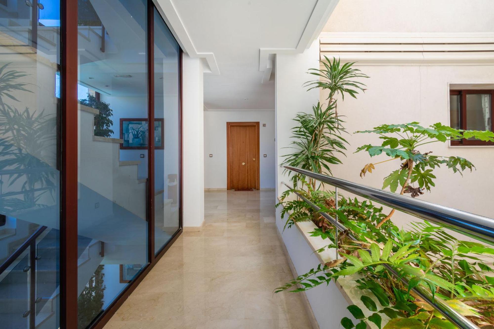 Apartamentos Albir Confort - Avenida 1 Dorm El Albir Екстер'єр фото